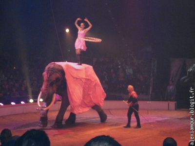 l'éléphant.....en robe!